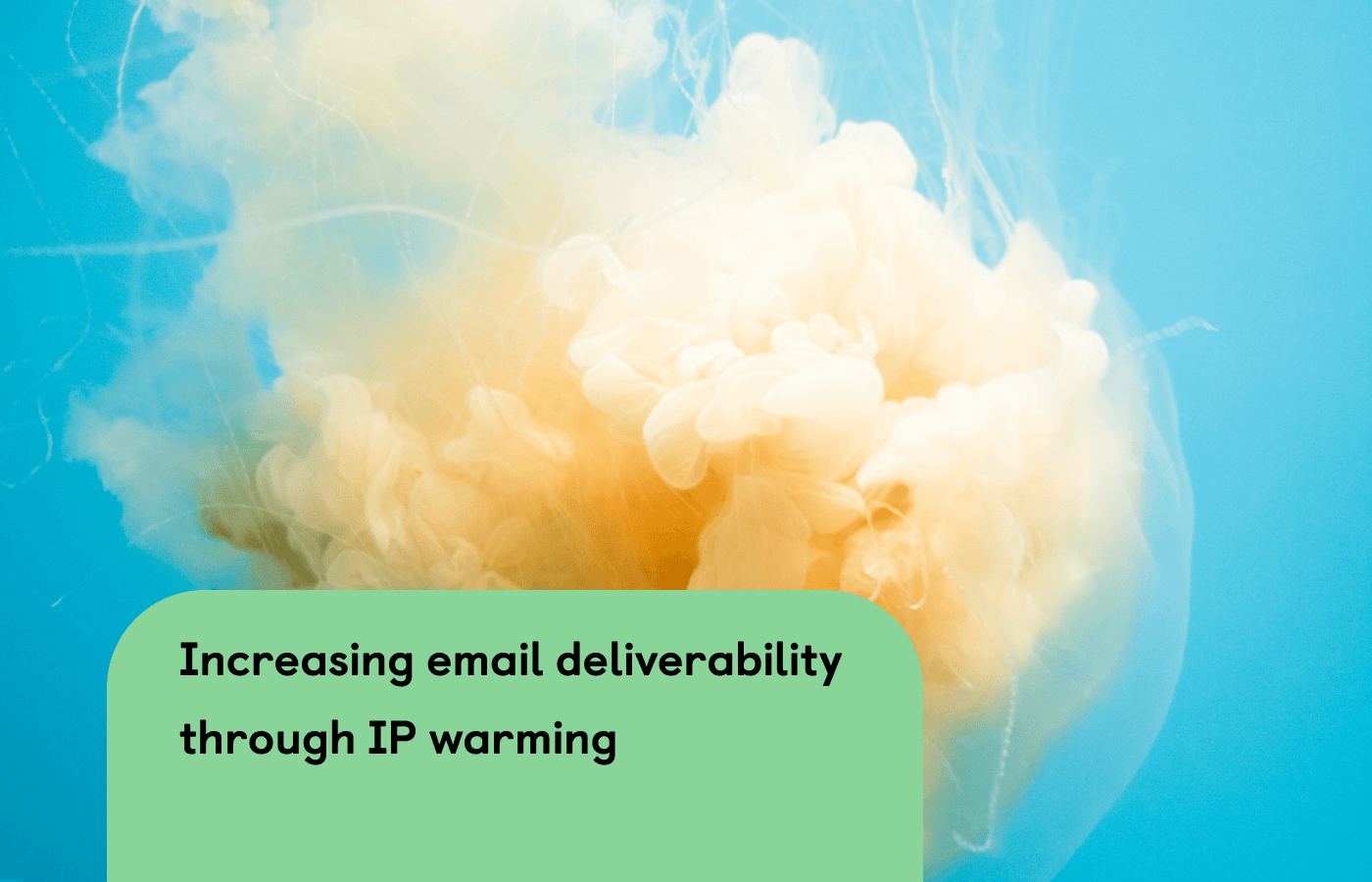 How to increase email deliverability through IP warming