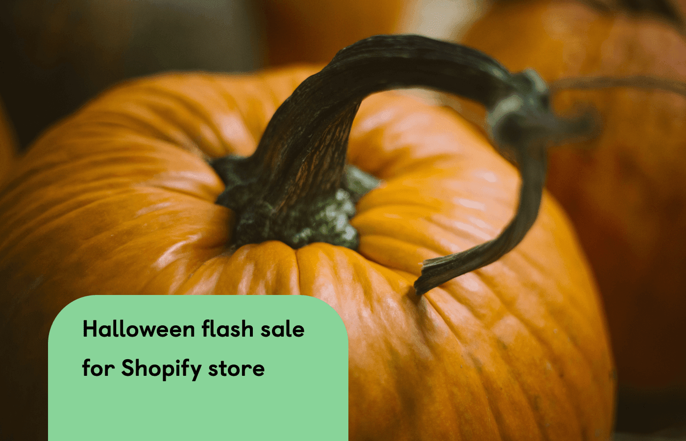 How to boost profits for your Shopify store with a Halloween flash sale