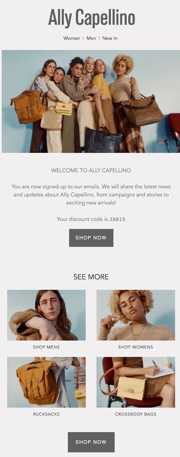 Ally Capellino welcome email
