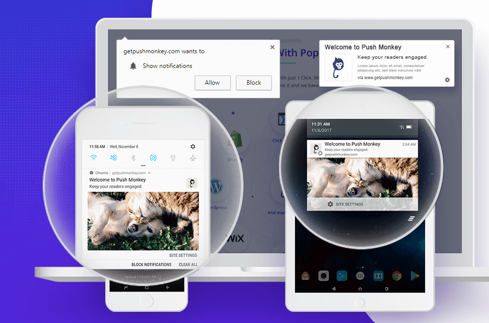 Push Monkey provides push notifications for abandoned carts, price and stock changes