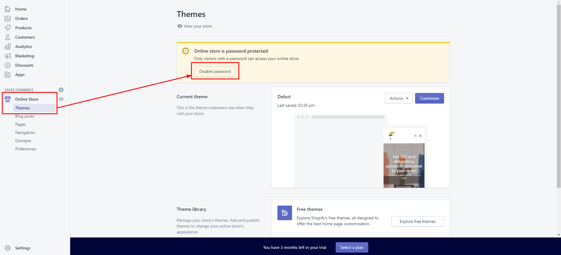 Removing password protection for shopify store